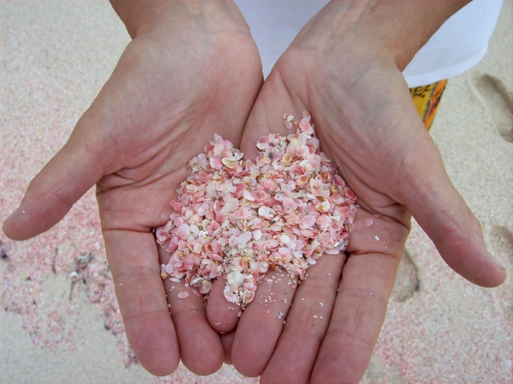 Pink beaches in the Bahamas