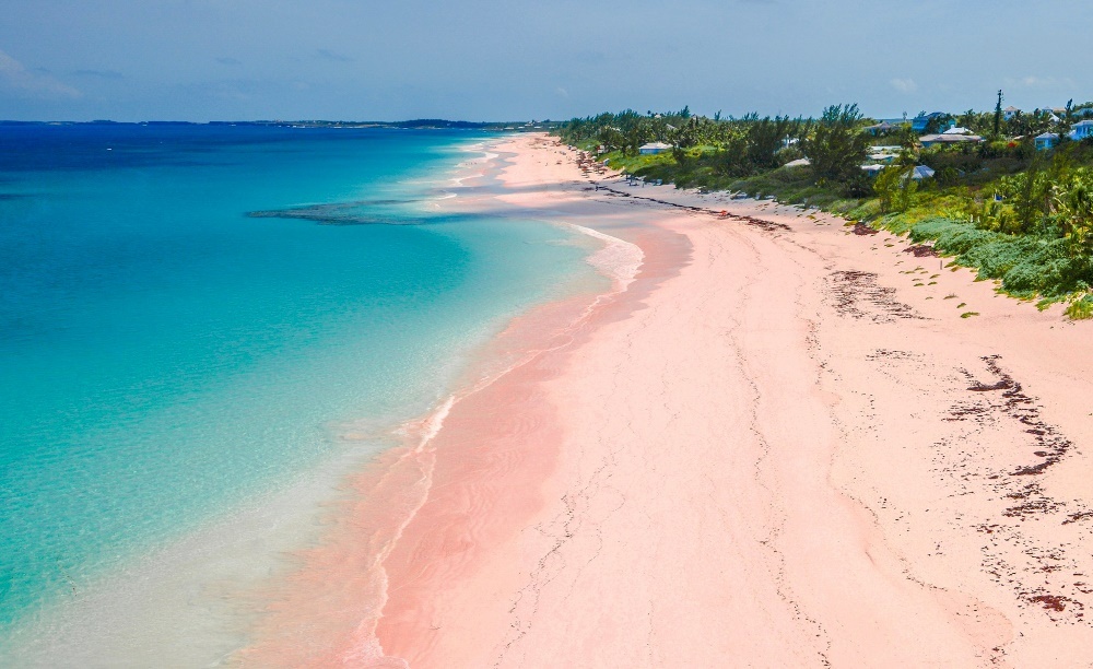 Розовый пляж на острове Харбор