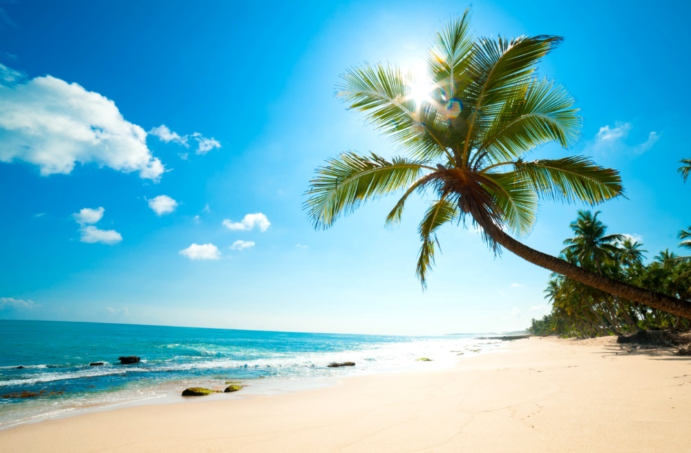 Caribbean islands, beach, palm trees, sea