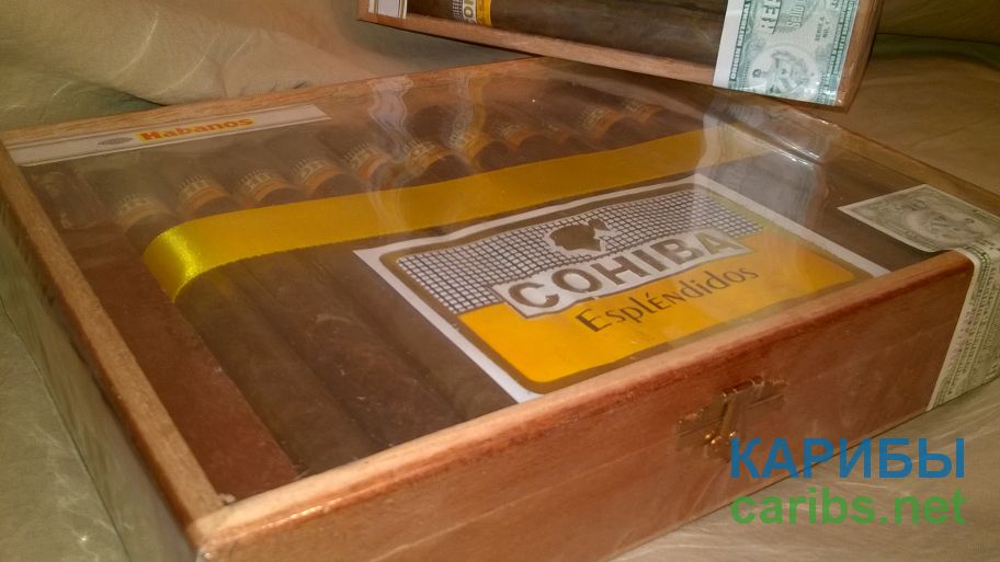 Cigars Habanos COHIBA
