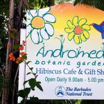 Сад Андромеды на Барбадосе