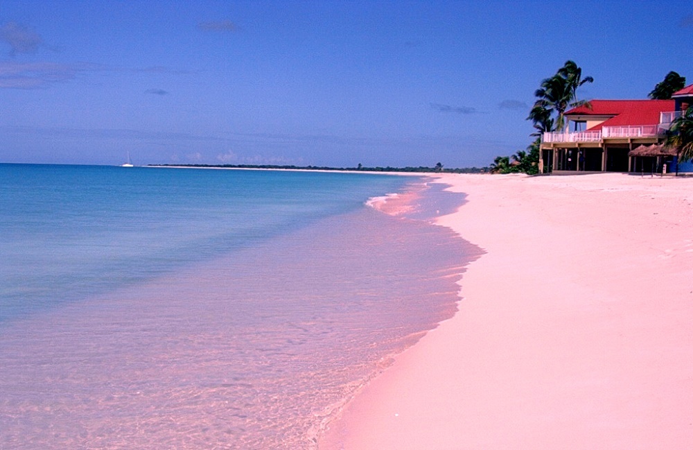 Rosa Sand der Insel Barbuda