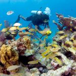 Nature of Barbuda, diving