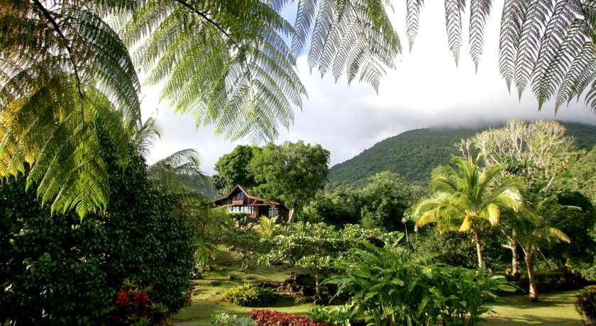 Nature of Basse-Terre, parks and forests