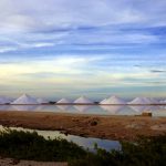соленной завод Cargill Salt
