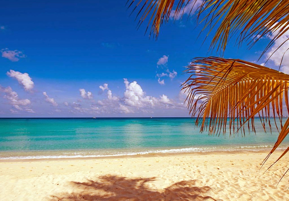 go to Grand Cayman