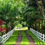 Privatpark der Insel Grenada