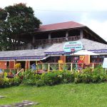 Plantation de cacao sur l'île de Grenade