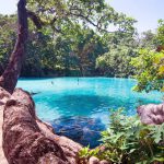 The purest rivers and lakes in Jamaica