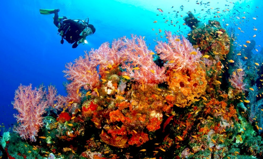 Diving on Margarita Island in the Caribbean