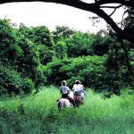 רכיבה על סוסים לתיירים בסנטה קרוז