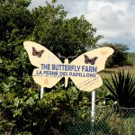 a butterfly farm on Saint-Martin