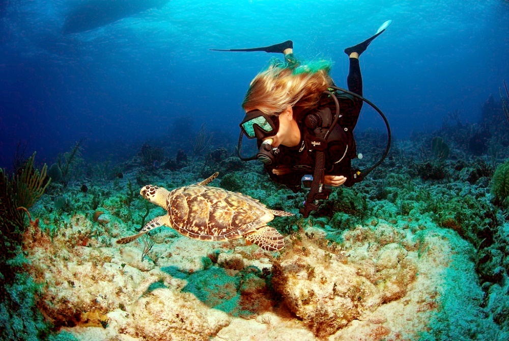 Plongée sur l'île de Cayman Brac