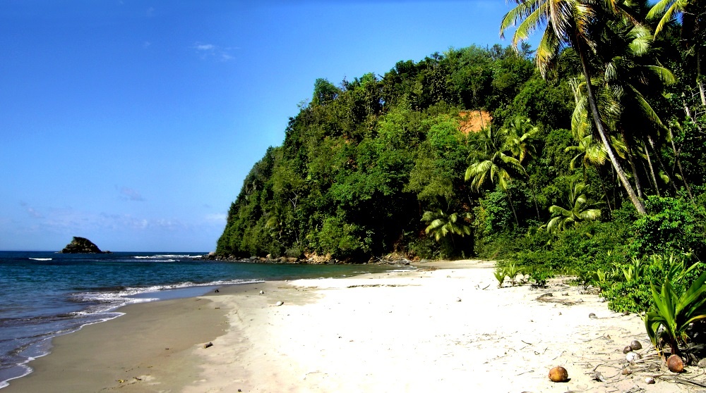 Dominica beach