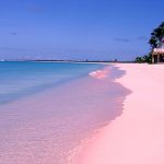 Barbuda Island pink sand