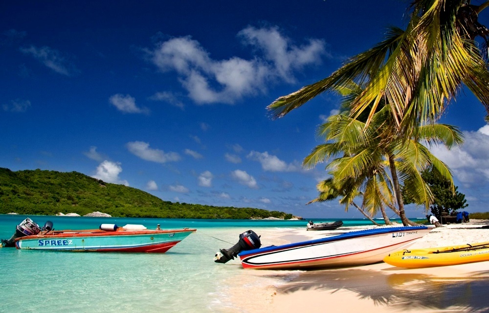 Tobago Island, Strand, Boote, Palmen