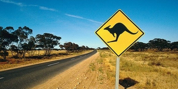 Traffic regulations and road hazards in Australia